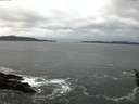 ./images/koeye/fitz-hugh/20160110/fitz-hugh20160110_080002.jpg