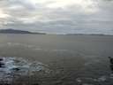 ./images/koeye/fitz-hugh/20160110/fitz-hugh20160110_102706.jpg