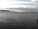./images/koeye/fitz-hugh/20160110/fitz-hugh20160110_122402.jpg