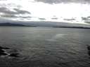 ./images/koeye/fitz-hugh/20160111/fitz-hugh20160111_095707.jpg