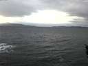 ./images/koeye/fitz-hugh/20160111/fitz-hugh20160111_121801.jpg