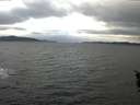 ./images/koeye/fitz-hugh/20160111/fitz-hugh20160111_125703.jpg