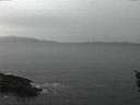 ./images/koeye/fitz-hugh/20160112/fitz-hugh20160112_080002.jpg