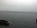 ./images/koeye/fitz-hugh/20160112/fitz-hugh20160112_085706.jpg