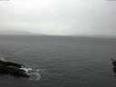 ./images/koeye/fitz-hugh/20160112/fitz-hugh20160112_095705.jpg