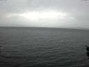 ./images/koeye/fitz-hugh/20160112/fitz-hugh20160112_121502.jpg