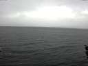 ./images/koeye/fitz-hugh/20160112/fitz-hugh20160112_121802.jpg
