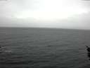 ./images/koeye/fitz-hugh/20160112/fitz-hugh20160112_122103.jpg