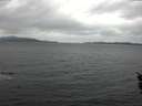 ./images/koeye/fitz-hugh/20160112/fitz-hugh20160112_125703.jpg