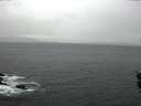 ./images/koeye/fitz-hugh/20160113/fitz-hugh20160113_122101.jpg