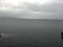 ./images/koeye/fitz-hugh/20160113/fitz-hugh20160113_132703.jpg