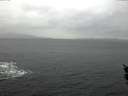./images/koeye/fitz-hugh/20160113/fitz-hugh20160113_140003.jpg