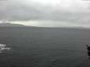 ./images/koeye/fitz-hugh/20160113/fitz-hugh20160113_142704.jpg
