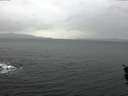 ./images/koeye/fitz-hugh/20160113/fitz-hugh20160113_145704.jpg