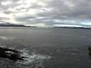 ./images/koeye/fitz-hugh/20160114/fitz-hugh20160114_115706.jpg