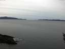 ./images/koeye/fitz-hugh/20160115/fitz-hugh20160115_122103.jpg
