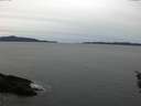 ./images/koeye/fitz-hugh/20160115/fitz-hugh20160115_122402.jpg