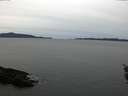 ./images/koeye/fitz-hugh/20160115/fitz-hugh20160115_122702.jpg