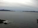 ./images/koeye/fitz-hugh/20160115/fitz-hugh20160115_135703.jpg