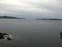 ./images/koeye/fitz-hugh/20160115/fitz-hugh20160115_142703.jpg