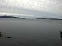 ./images/koeye/fitz-hugh/20160115/fitz-hugh20160115_152703.jpg