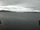 ./images/koeye/fitz-hugh/20160115/fitz-hugh20160115_172703.jpg