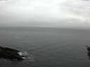 ./images/koeye/fitz-hugh/20160116/fitz-hugh20160116_102706.jpg