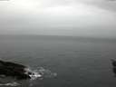 ./images/koeye/fitz-hugh/20160116/fitz-hugh20160116_105705.jpg
