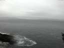./images/koeye/fitz-hugh/20160116/fitz-hugh20160116_115706.jpg
