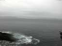 ./images/koeye/fitz-hugh/20160116/fitz-hugh20160116_120003.jpg