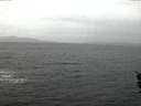 ./images/koeye/fitz-hugh/20160117/fitz-hugh20160117_075706.jpg