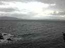 ./images/koeye/fitz-hugh/20160117/fitz-hugh20160117_092705.jpg