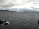 ./images/koeye/fitz-hugh/20160117/fitz-hugh20160117_095706.jpg