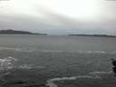 ./images/koeye/fitz-hugh/20160118/fitz-hugh20160118_075705.jpg