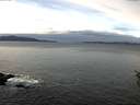 ./images/koeye/fitz-hugh/20160120/fitz-hugh20160120_121802.jpg