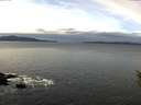 ./images/koeye/fitz-hugh/20160120/fitz-hugh20160120_122102.jpg