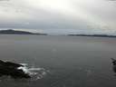 ./images/koeye/fitz-hugh/20160120/fitz-hugh20160120_135703.jpg