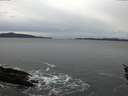 ./images/koeye/fitz-hugh/20160120/fitz-hugh20160120_140003.jpg