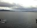 ./images/koeye/fitz-hugh/20160121/fitz-hugh20160121_075705.jpg