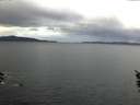 ./images/koeye/fitz-hugh/20160121/fitz-hugh20160121_080003.jpg