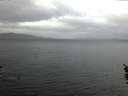 ./images/koeye/fitz-hugh/20160121/fitz-hugh20160121_082705.jpg