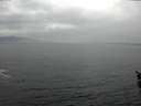 ./images/koeye/fitz-hugh/20160121/fitz-hugh20160121_102705.jpg