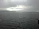 ./images/koeye/fitz-hugh/20160121/fitz-hugh20160121_115705.jpg