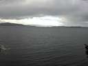 ./images/koeye/fitz-hugh/20160121/fitz-hugh20160121_121501.jpg