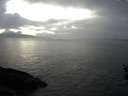./images/koeye/fitz-hugh/20160121/fitz-hugh20160121_160002.jpg
