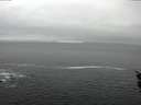 ./images/koeye/fitz-hugh/20160122/fitz-hugh20160122_095706.jpg