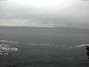 ./images/koeye/fitz-hugh/20160122/fitz-hugh20160122_100002.jpg