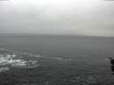 ./images/koeye/fitz-hugh/20160122/fitz-hugh20160122_102705.jpg