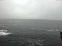 ./images/koeye/fitz-hugh/20160122/fitz-hugh20160122_105705.jpg