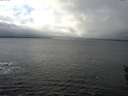 ./images/koeye/fitz-hugh/20160122/fitz-hugh20160122_120003.jpg